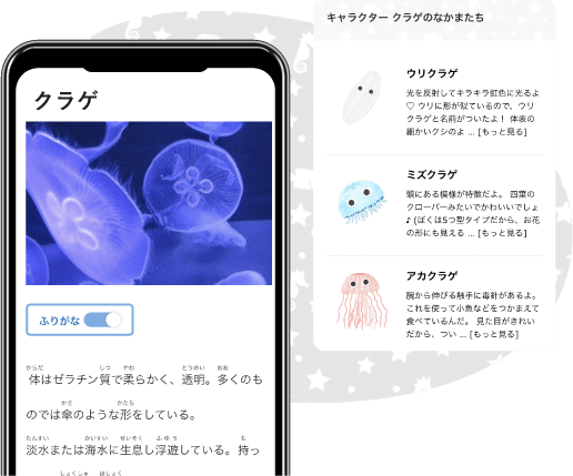 仲間と特徴を知ろう！イメージ