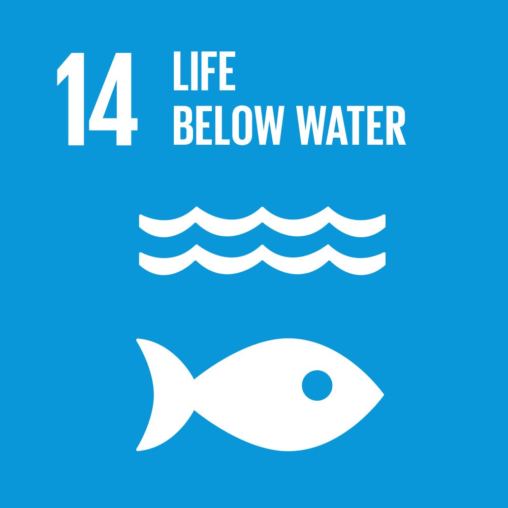 SDGs目標14. 海の豊かさを守ろう